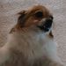 Profile Picture of Ella Clayton (@ella41105) on Pinterest