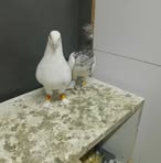 Profile Picture of Baran Kara (@baran.kara.671802) on Facebook