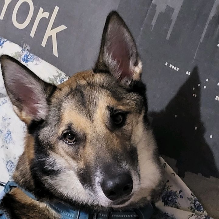 Profile Picture of David (@cdavidparker) on Tiktok