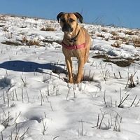 Profile Picture of Cindy Michelotti (@cindy-michelotti) on Quora