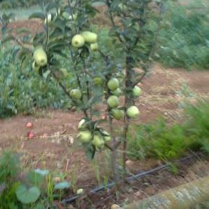 Profile Picture of José Valera Durán (@josevalera1948) on Twitter