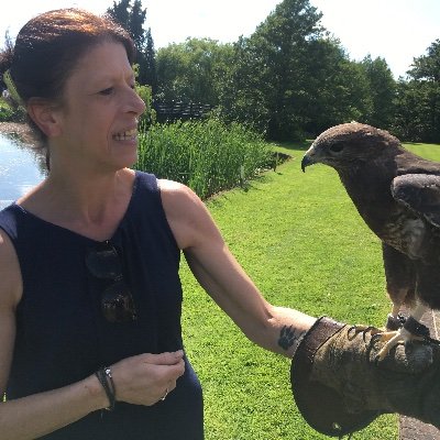 Profile Picture of Haley Needham (@Haleyneedham4) on Twitter