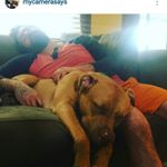 Profile Picture of Brian Broadwater (@bbro116) on Instagram