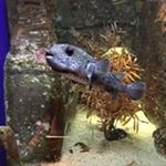 Profile Picture of Richard Gerry (@gerryrichard0828) on Instagram