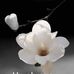 Profile Picture of Graciela Landeros (@graciela.landeros.3150) on Facebook