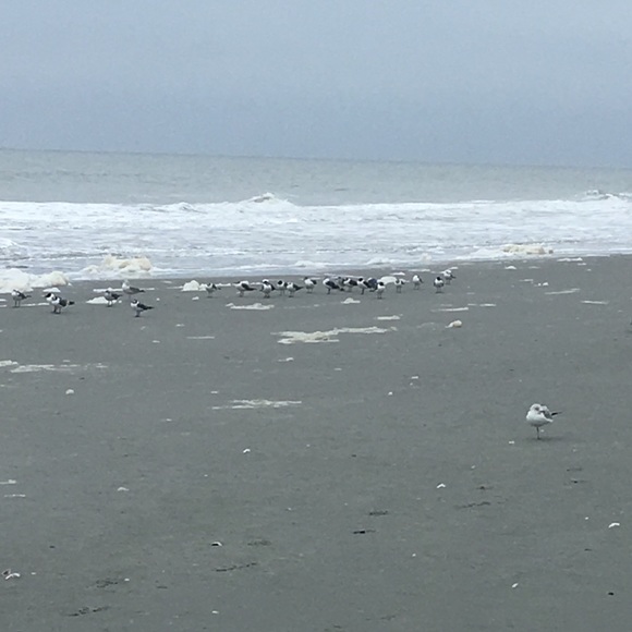 Profile Picture of Karen Hennessey (@karenhenness153) on Poshmark