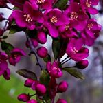Profile Picture of Joseph Nemer (@nemer.joseph) on Instagram
