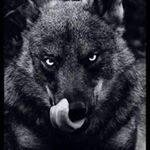 Profile Picture of Pedro Jaquez (@pedro.jaquez.3760) on Instagram