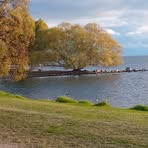 David Rumney - Facebook Profile Picture of David Rumney (@David-Rumney) on Facebook