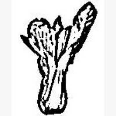Profile Picture of Peter J Brown (@TheRealBokChoi) on Twitter