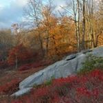 Profile Picture of paul d (@paul.gravely.guy) on Instagram