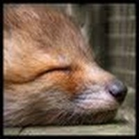 Profile Picture of Julia Xu (@julia-xu-9) on Quora