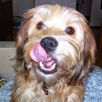 Profile Picture of Anne Melgaard (@anne-melgaard) on Quora