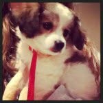 Profile Picture of Gigi Mathis (@gigi_mathis) on Instagram