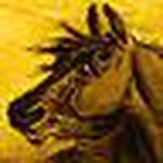 Profile Picture of Everyone From High School (@Everyone From High School) on Flickr