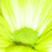 Profile Picture of Doris Knobloch (@doris.knobloch.5) on Facebook