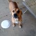 Profile Picture of Cindy Studebaker (@Cindy-Studebaker) on Facebook