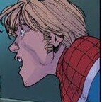 Profile Picture of William Braddock (@EnglishAraneae) on Twitter