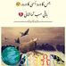 Profile Picture of Zainab Shahzadi (@Zainab-Shahzadi) on Facebook