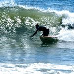Profile Picture of Sean Collins (@sean_collins_surferdude) on Instagram
