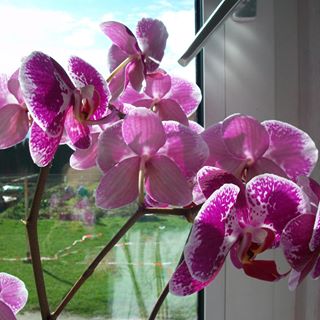 Heidi Fellner - Facebook Profile Picture of Heidi Fellner (@heidi.fellner.56) on Facebook