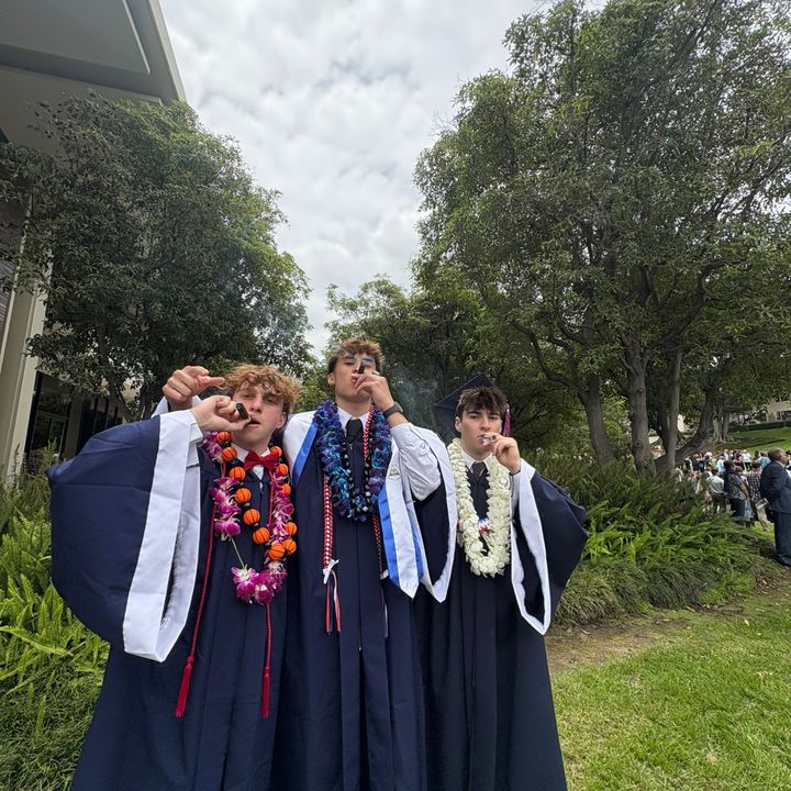 tomasmarcello - Tiktok Profile Picture of tomasmarcello (@tomasmarcello) on Tiktok