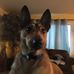 Profile Picture of Collin O'Connor (@Collin-OConnor) on Facebook