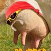 Profile Picture of Pillajames (@@pillajames) on Tiktok