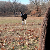 Roper Bilke - Youtube Profile Picture of Roper Bilke (@RoperBilke-x6f) on Youtube