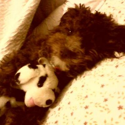 Profile Picture of Valeria Gisel James (@valerircentral) on Twitter