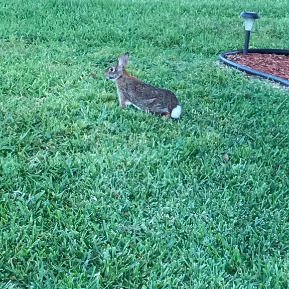 Profile Picture of Andrea Chase (@abcspirit5) on Poshmark