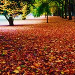 Profile Picture of Paul Ellis (@cymrupaul) on Instagram