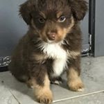 Profile Picture of Paula (@paulaschmidt825) on Instagram