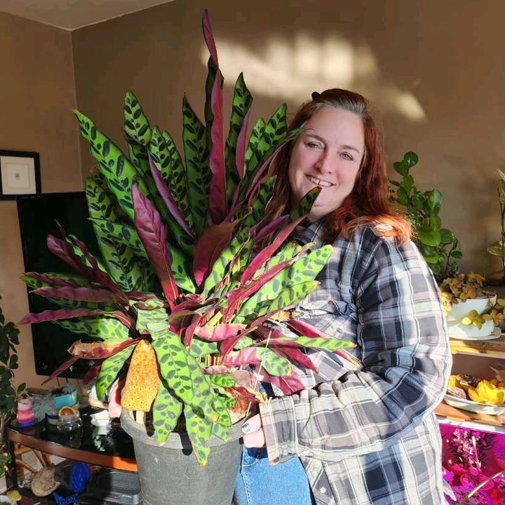 Profile Picture of Jen Halvorson (@@jenhalvorson) on Tiktok