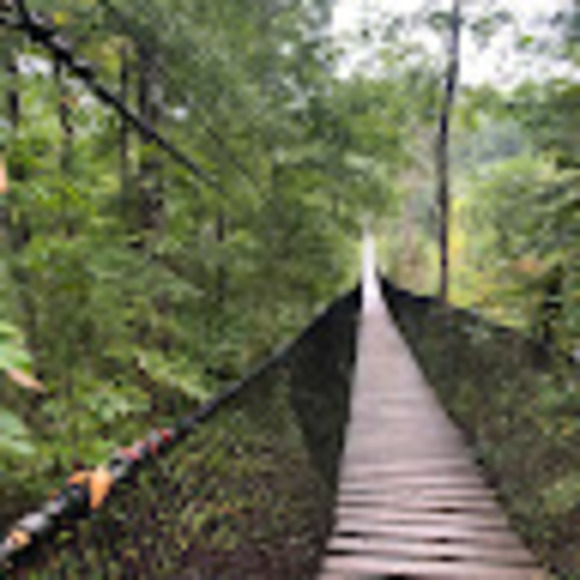 Profile Picture of Maya Lucas (@urmomisverycool) on Poshmark