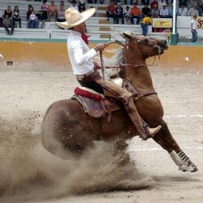 Profile Picture of GUSTAVO OLVERA (@GUSTAVOOLVERA1) on Twitter