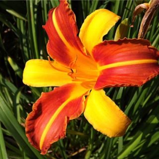 Profile Picture of Renee Cwik (@renee.cwik.7) on Facebook