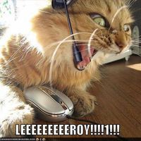 Alec Lynch - Quora Profile Picture of Alec Lynch (@alec-lynch-6) on Quora