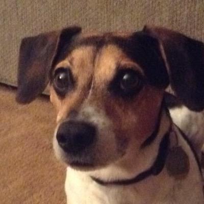 Profile Picture of Matt Kish (@KishMatt000) on Twitter