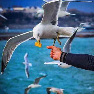 Profile Picture of Smart Jo (@smart.jo.336) on Facebook