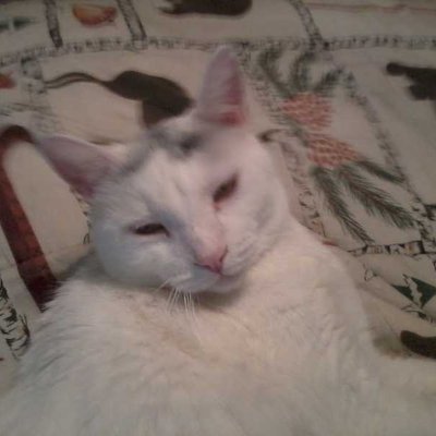 Profile Picture of Cody Walraven (@walraven_cody) on Twitter