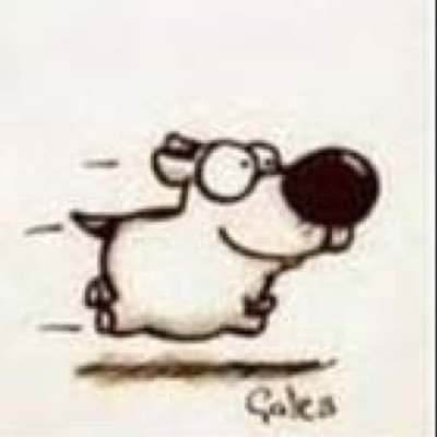 Profile Picture of Piotr Leszczyński (@PiotrThePole) on Twitter