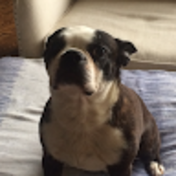 Profile Picture of Elizabeth Parolini (@e_parolini9) on Poshmark