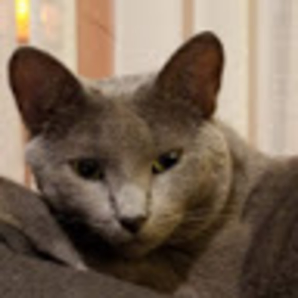 Profile Picture of Kaitlyn Rothman (@krothman8) on Poshmark