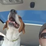 Profile Picture of Michael Seery (@michael_seery) on Instagram