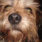 Profile Picture of Stefanie Pietrucha (@stefiiniie) on Facebook