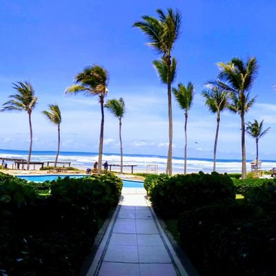 Profile Picture of Alfredo Astudillo (@pios2219) on Twitter