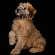 Profile Picture of Christopher Comstock (@christophercomstock6721) on Youtube