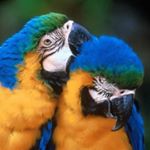 Profile Picture of Luca barbone (@lucabarbarossa99) on Instagram