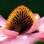 Profile Picture of Robin Hollenbeck (@robinhollenbeck2257) on Instagram